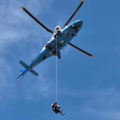 Hiker fighting for his life after bee attack