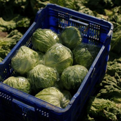 America’s biggest food distributor cuts suppliers as ‘explosive diarrhoea’ cases rise